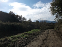cantara piccole gole30122011 200
